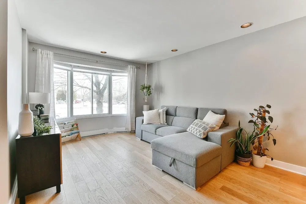 Living room; natural light, wood floor, modern style