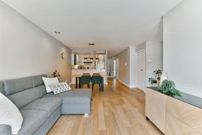 Living room; wood floor, natural light, modern style