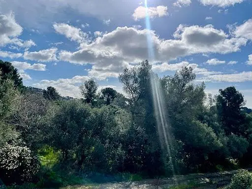 Diğer; manzara, doğal ışık