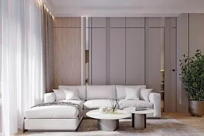 Дневна соба; природно светло, модерни стил, дрвени под