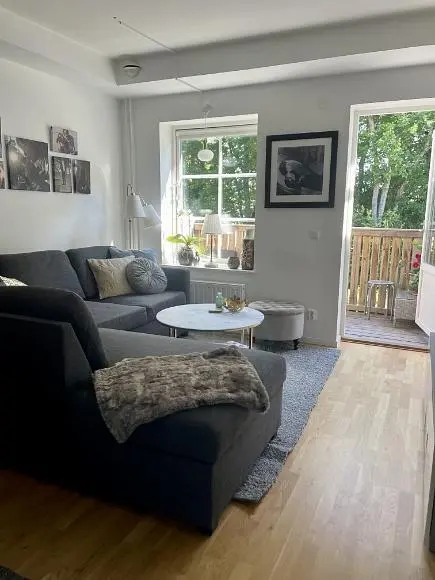 Salon; lumière naturelle, parquet, style moderne