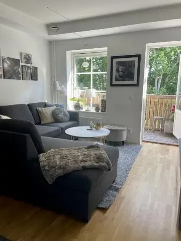 Salon; lumière naturelle, parquet, style moderne