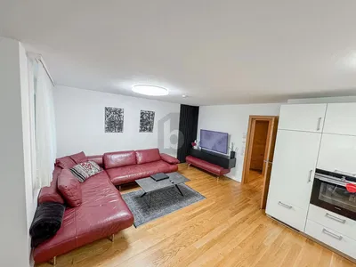 Wohnzimmer; holzboden, moderner stil, tageslicht, küchengeräte