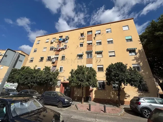 House and surroundings; view