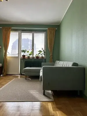 Salon; lumière naturelle, parquet, vue