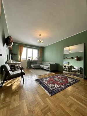 Salon; parquet, lumière naturelle, style rustique
