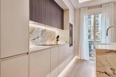 Keuken; keukenapparatuur, natuurlijk licht, moderne stijl