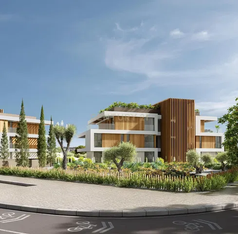 House and surroundings; view