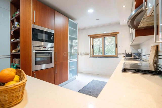 Cocina; electrodomésticos, vista, luz natural