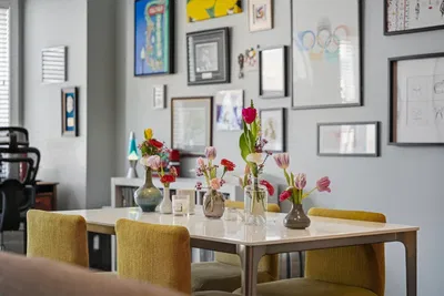 Living room; modern style, natural light