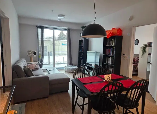Living room; natural light, modern style