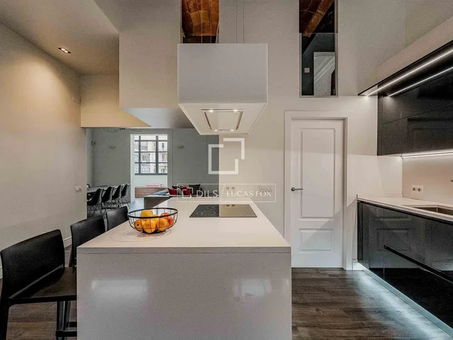 Cucina; elettrodomestici, stile moderno, luce naturale