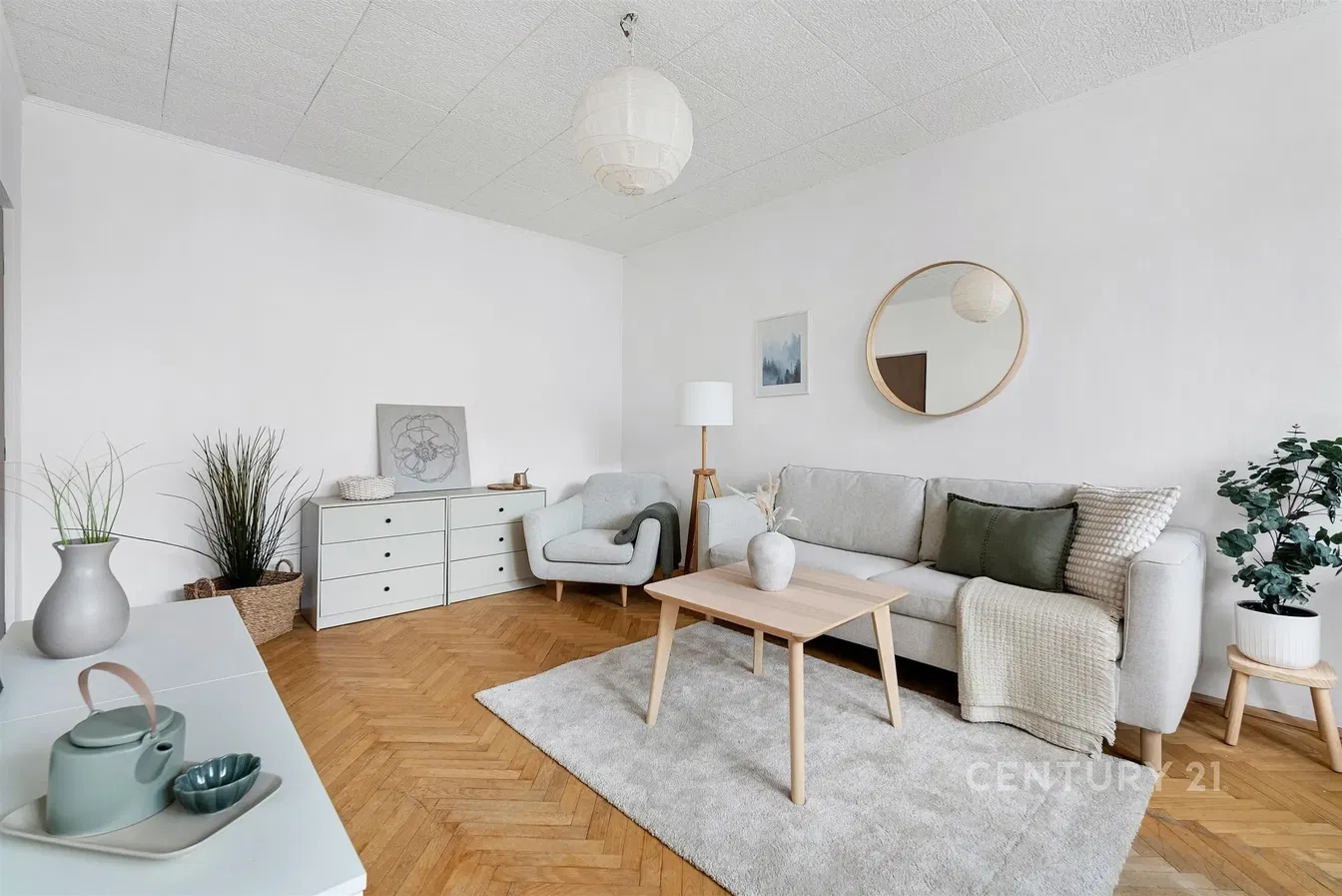 Хол; дървен под, естествена светлина, модерен стил