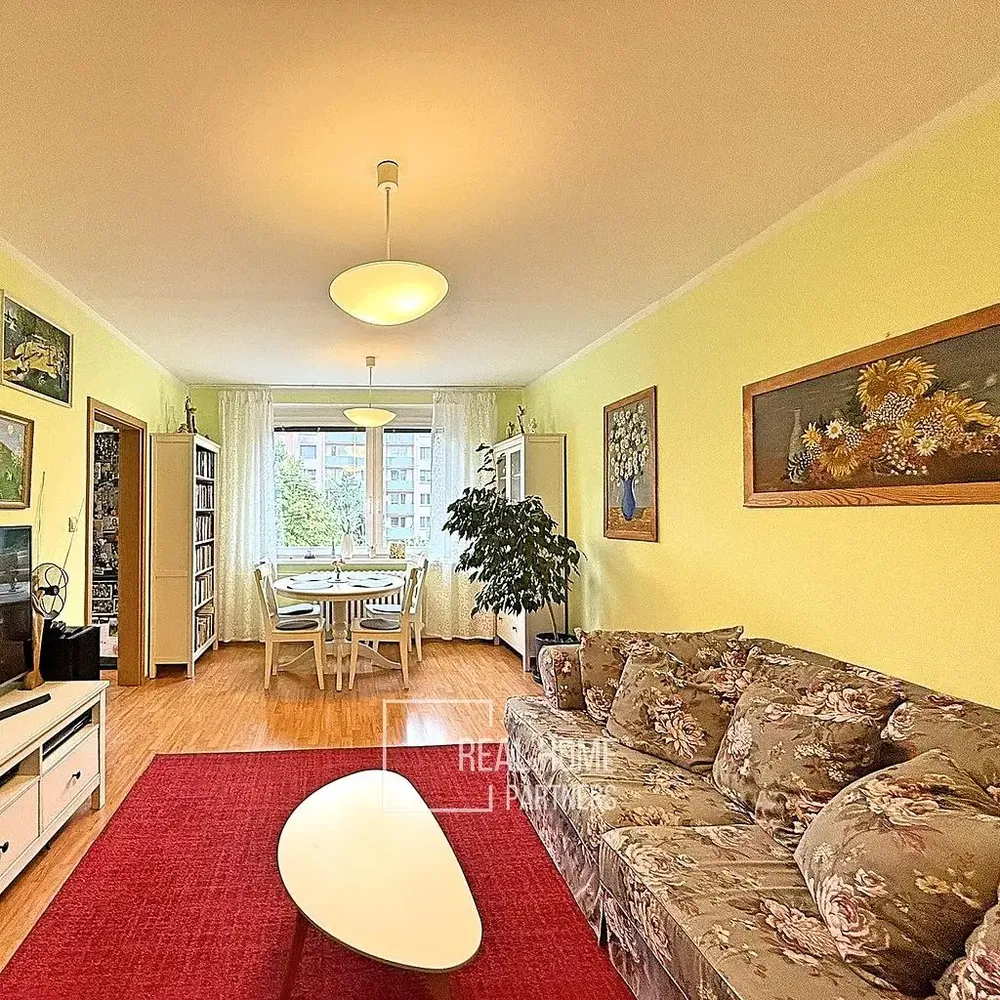 Obývací pokoj; přirozené světlo, rustikální styl