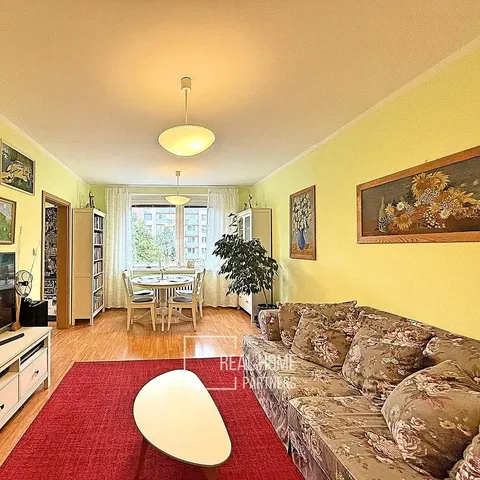 Living room; natural light, rustic style