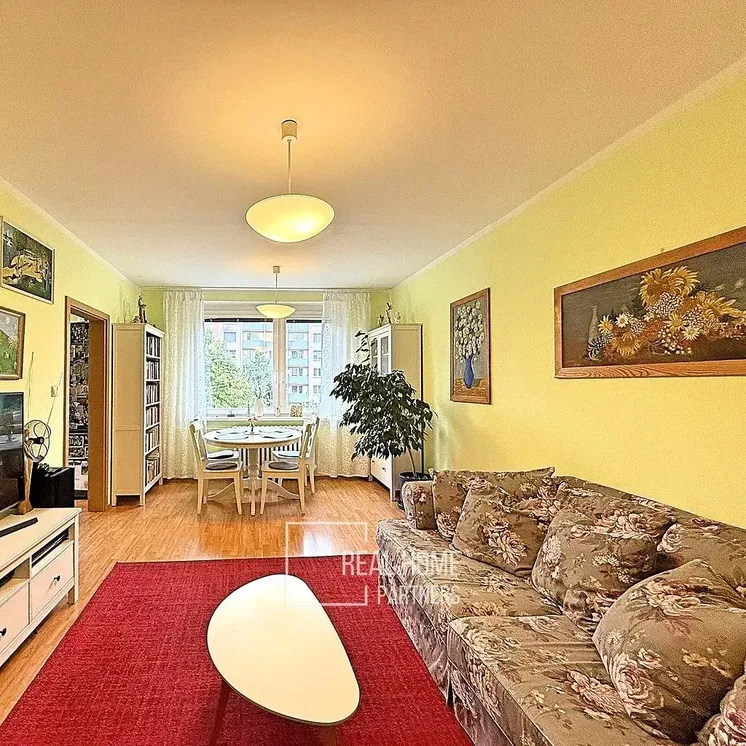 Obývací pokoj; přirozené světlo, rustikální styl