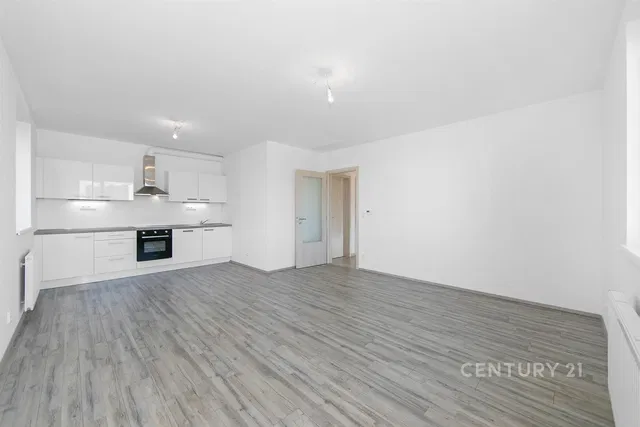 Cucina; elettrodomestici, ristrutturato, luce naturale, stile moderno