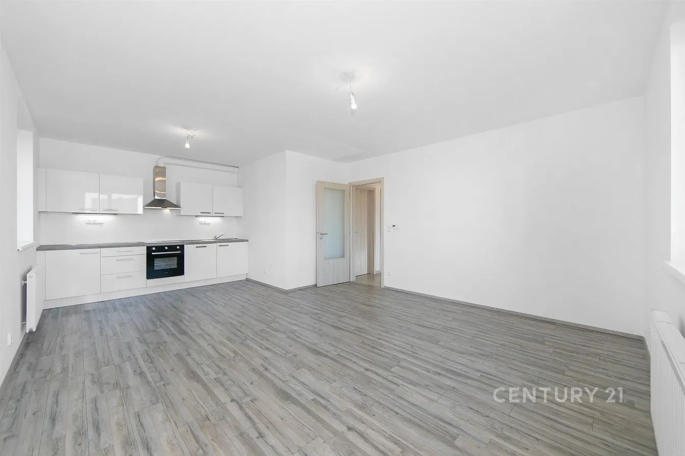 Kitchen; kitchen appliances, renovated, natural light, modern style