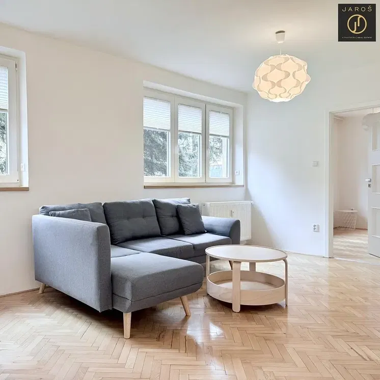 Хол; естествена светлина, дървен под, модерен стил