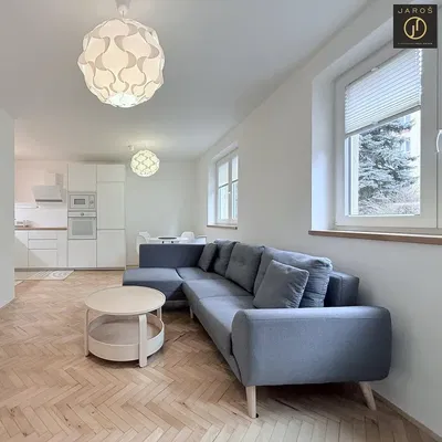 Хол; естествена светлина, дървен под, модерен стил, кухненски уреди