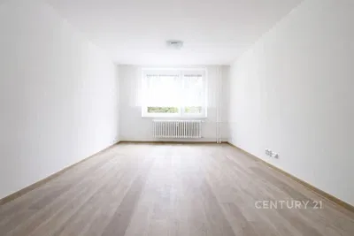 Salón; luz natural, suelo de madera, renovado