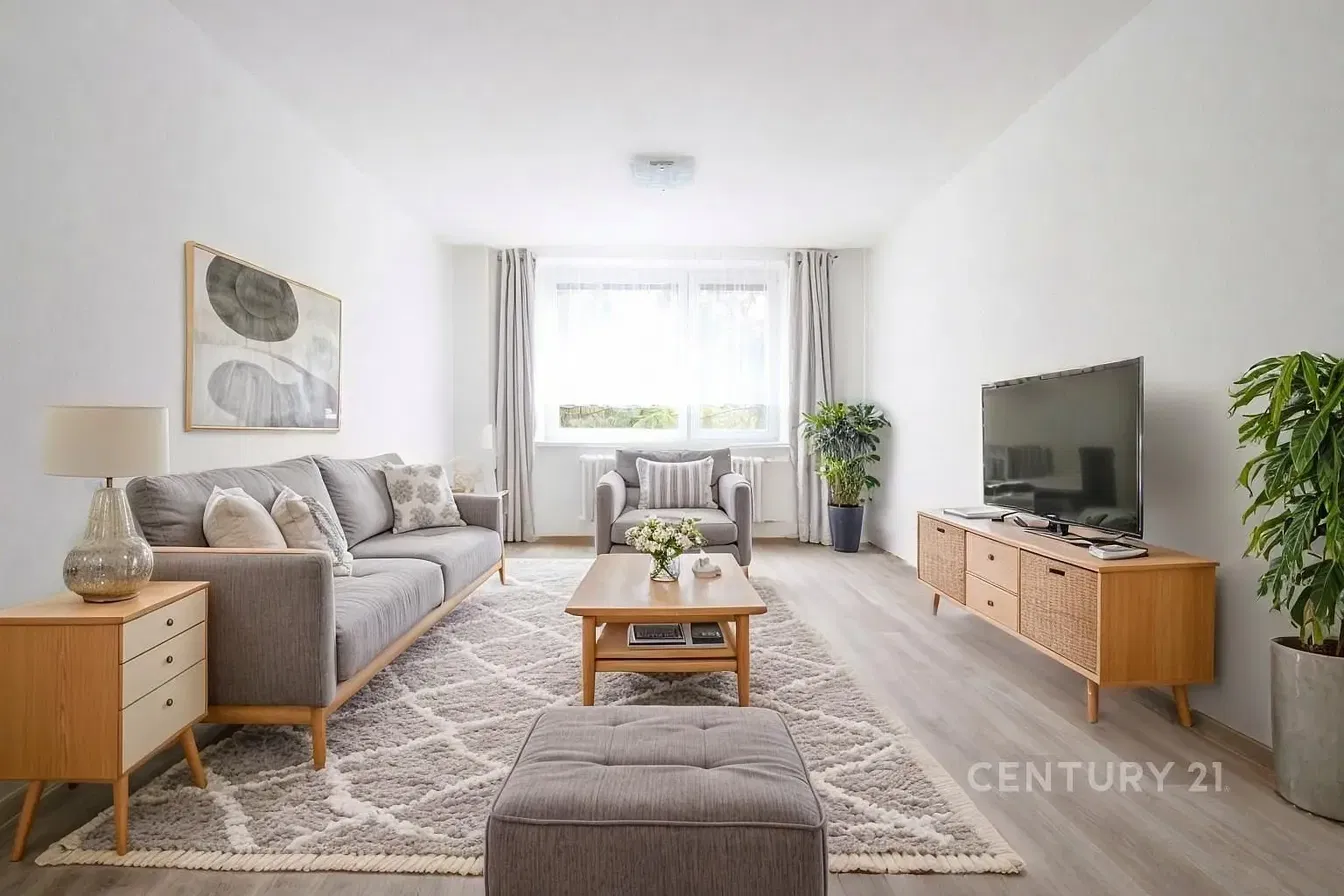 Хол; естествена светлина, модерен стил