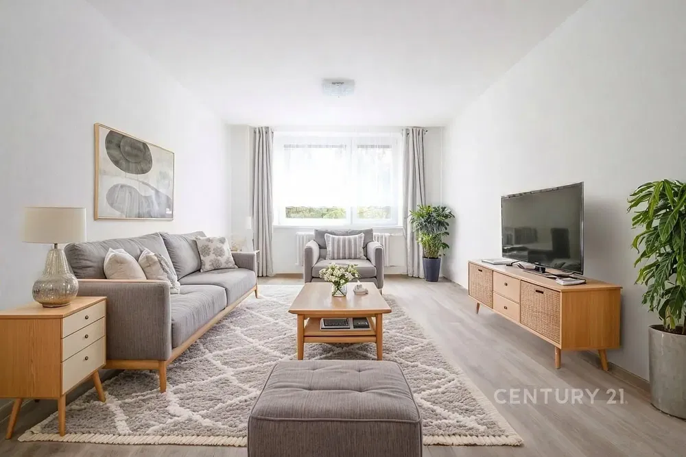 Salón; luz natural, estilo moderno