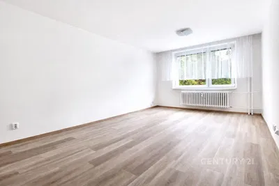 Salón; luz natural, suelo de madera, renovado