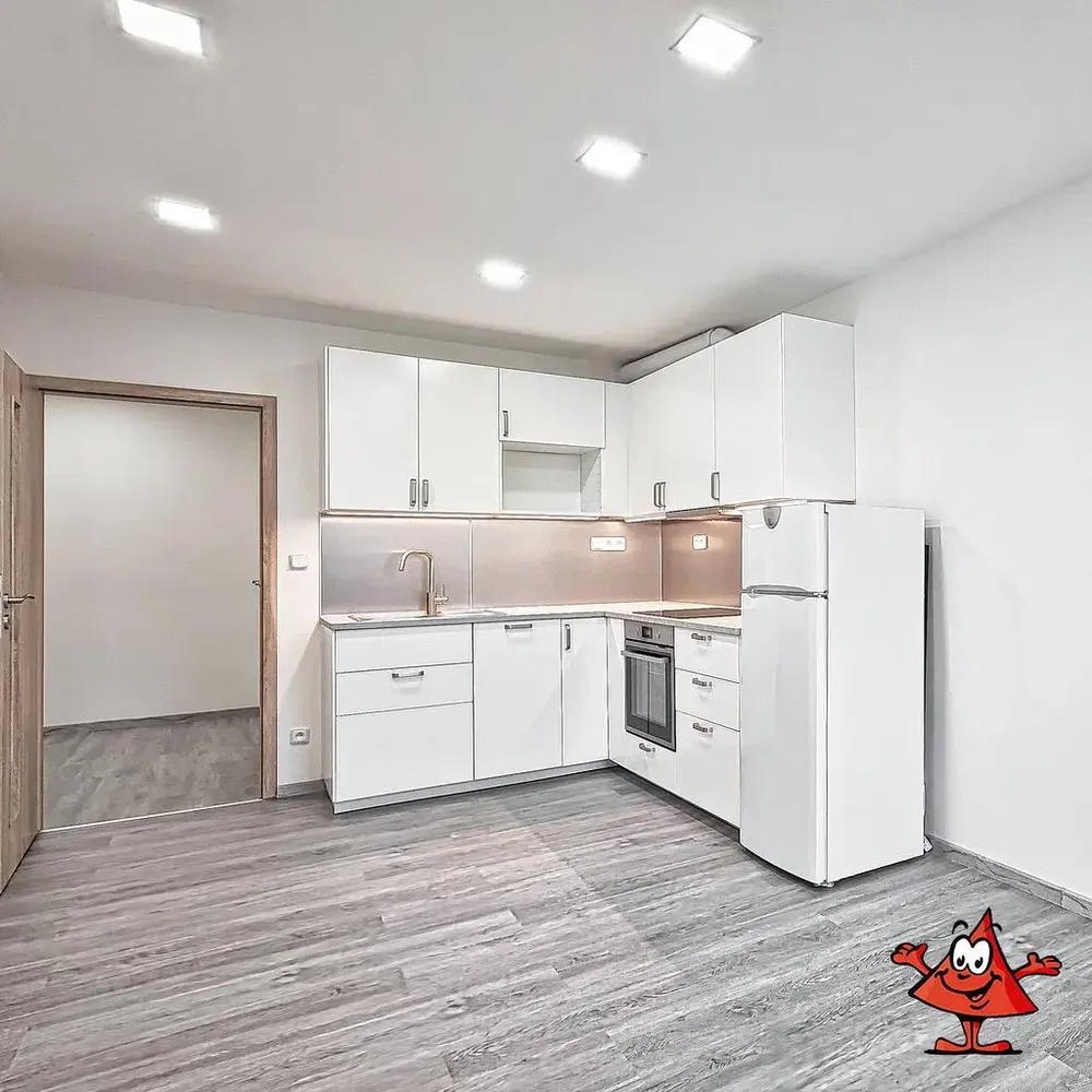 Kuchyňa; kuchynské spotrebiče, prirodzené svetlo, moderný štýl