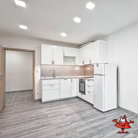 Kuchyňa; kuchynské spotrebiče, prirodzené svetlo, moderný štýl