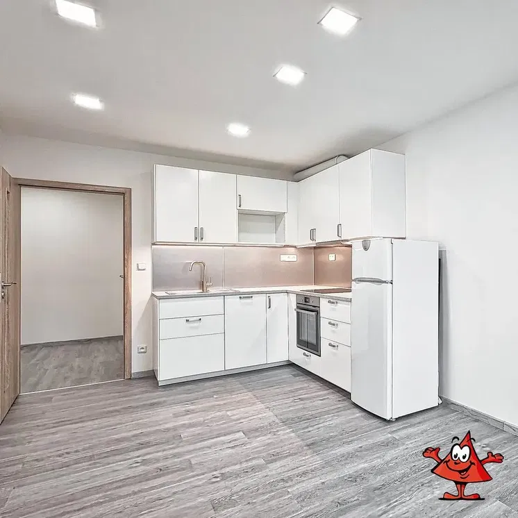 Kuchyňa; kuchynské spotrebiče, prirodzené svetlo, moderný štýl