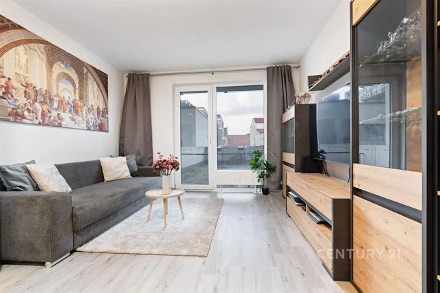 Living room; view, wood floor, natural light, modern style