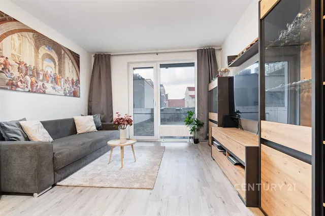 Living room; view, wood floor, natural light, modern style