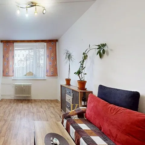 Хол; дървен под, естествена светлина