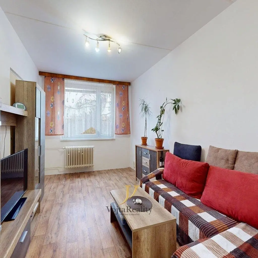 Хол; естествена светлина, дървен под, модерен стил