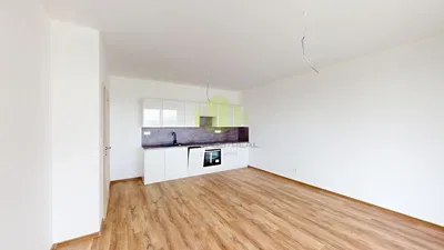 Küche; holzboden, tageslicht, renoviert