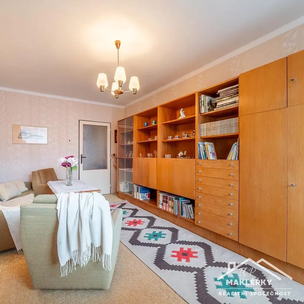 Dnevni boravak; prirodna svjetlost, moderan stil