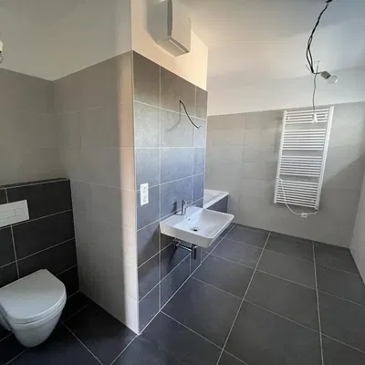 Тоалетна; плочки, естествена светлина