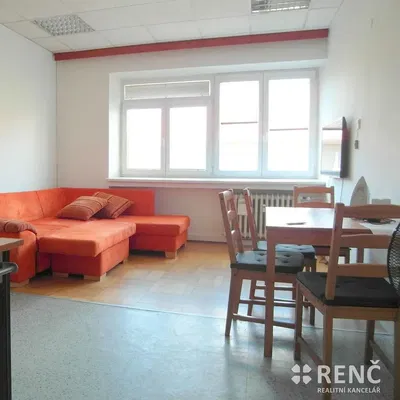 Хол; естествена светлина, модерен стил