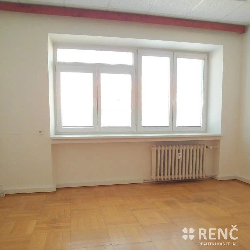 Хол; естествена светлина, дървен под