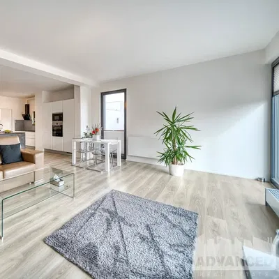 Oturma odası; doğal ışık, modern stil, ahşap zemin