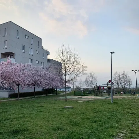 House and surroundings; view, natural light