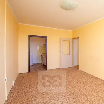 Living room; natural light, needs renovation