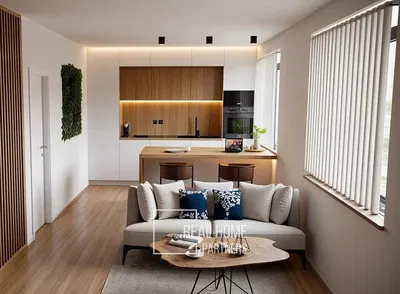 Хол; модерен стил, дървен под, естествена светлина, кухненски уреди