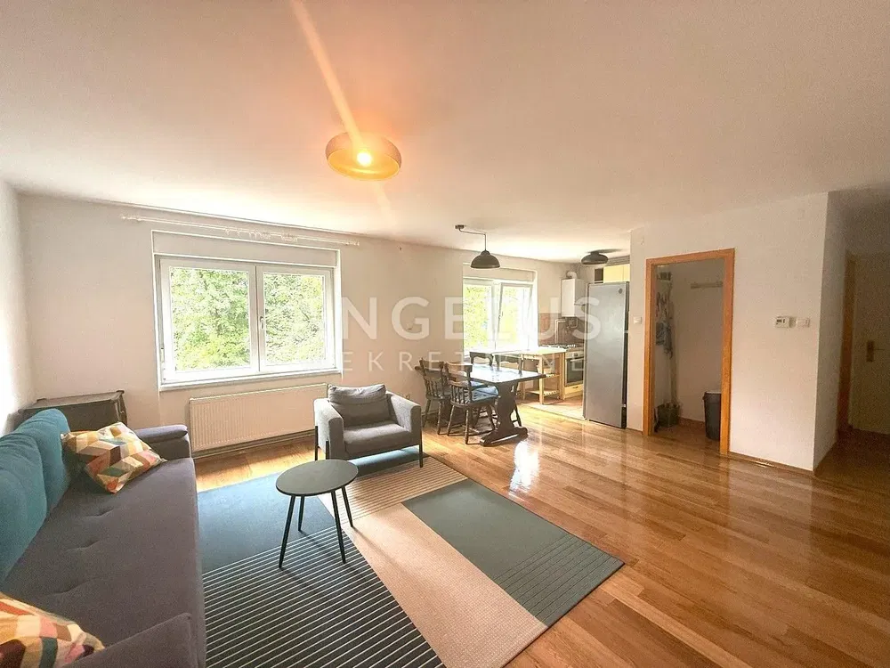 Salon; vue, parquet, lumière naturelle