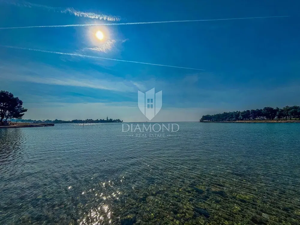 Haus und umgebung; blick