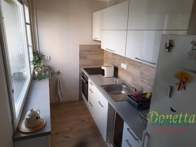 Mutfak; mutfak aletleri, doğal ışık, modern stil