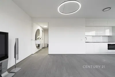 Living room; modern style, wood floor, natural light, renovated