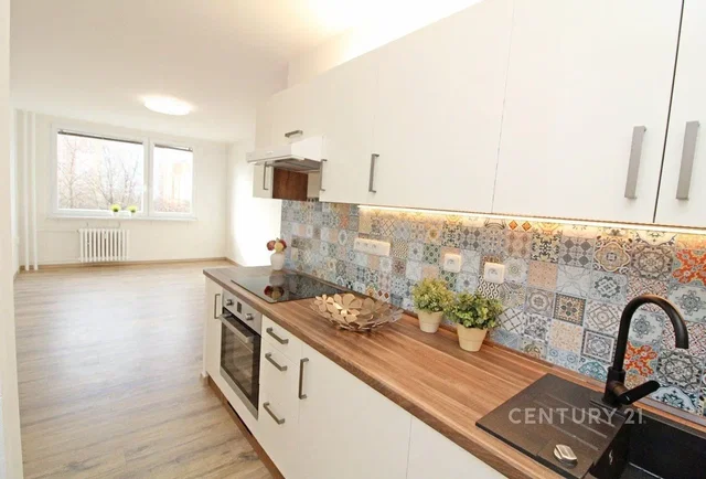 Кухиња; кухињски апарати, природно светло, модерни стил, реновиран