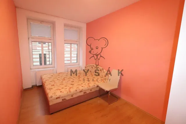 Bedroom; natural light, wood floor